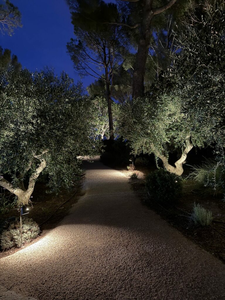 Allée de gravier entre les oliviers — Golfe de Saint-Tropez, par B.V.E électricien